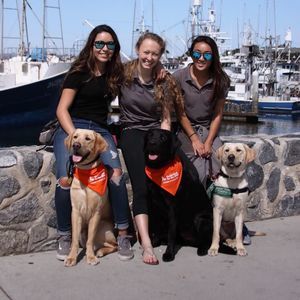 Meet your Posher, Shayla